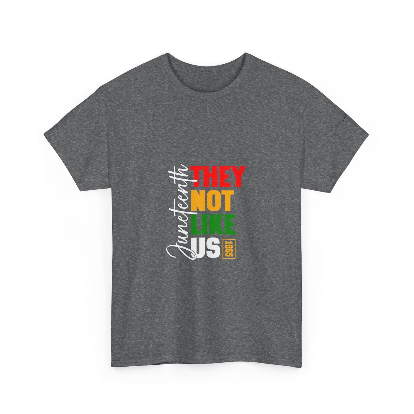 Unapologetically Free – Juneteenth "They Not Like Us" Statement Tee